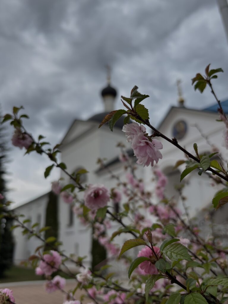 Серпухов