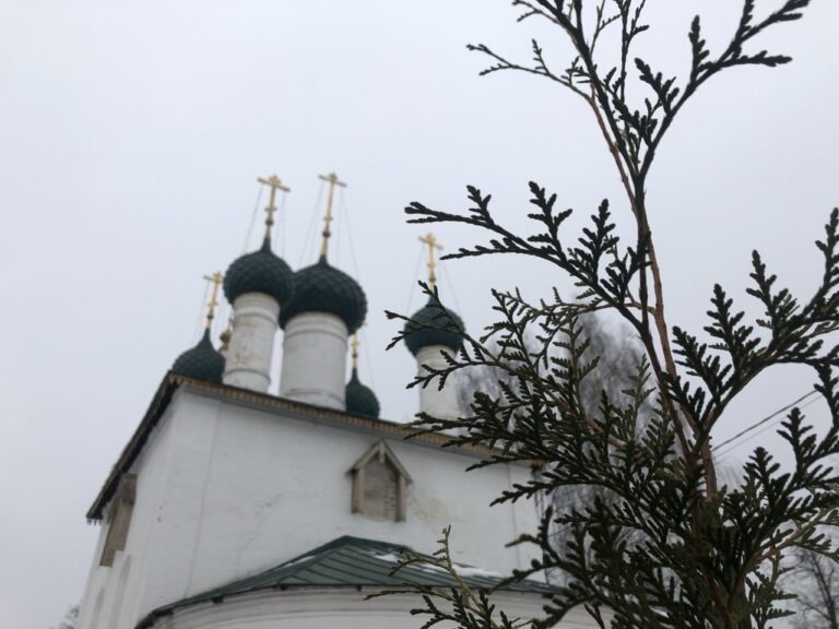 Ярославль — Толгский монастырь, Кострома, Тутаев.